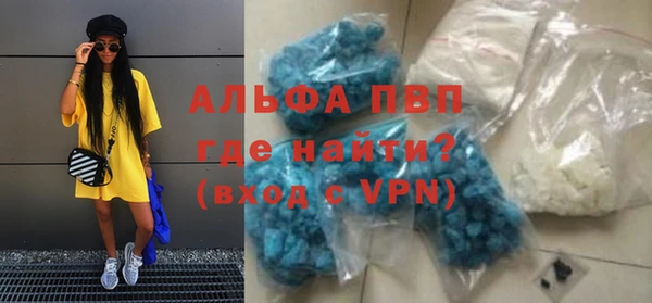ГАЛЛЮЦИНОГЕННЫЕ ГРИБЫ Козловка