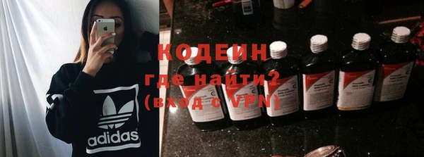 ГАЛЛЮЦИНОГЕННЫЕ ГРИБЫ Козловка