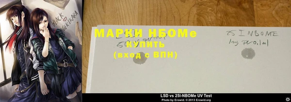 ГАЛЛЮЦИНОГЕННЫЕ ГРИБЫ Козловка
