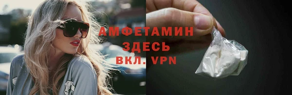 ГАЛЛЮЦИНОГЕННЫЕ ГРИБЫ Козловка