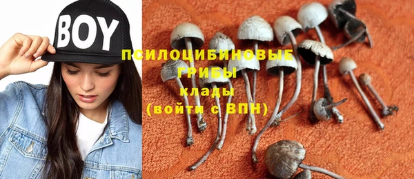 дурь Кодинск