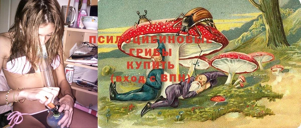 дурь Кодинск