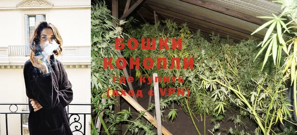 ГАЛЛЮЦИНОГЕННЫЕ ГРИБЫ Козловка