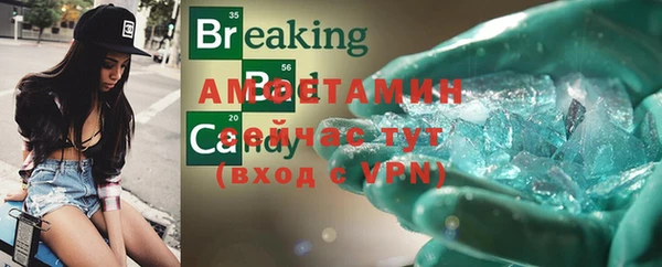ГАЛЛЮЦИНОГЕННЫЕ ГРИБЫ Козловка