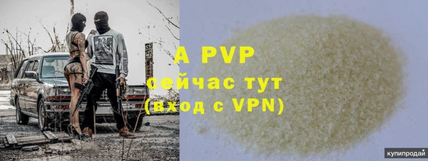 ГАЛЛЮЦИНОГЕННЫЕ ГРИБЫ Козловка