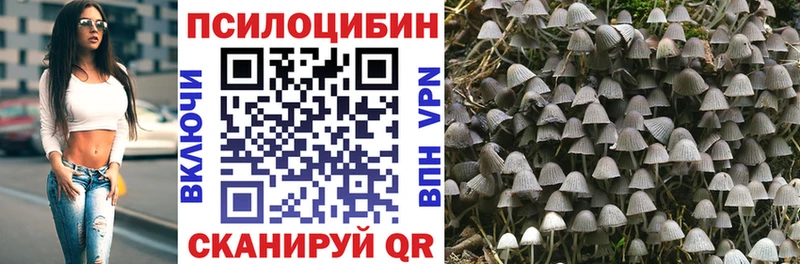 Купить  Отрадное  Псилоцибиновые грибы Psilocybine cubensis 